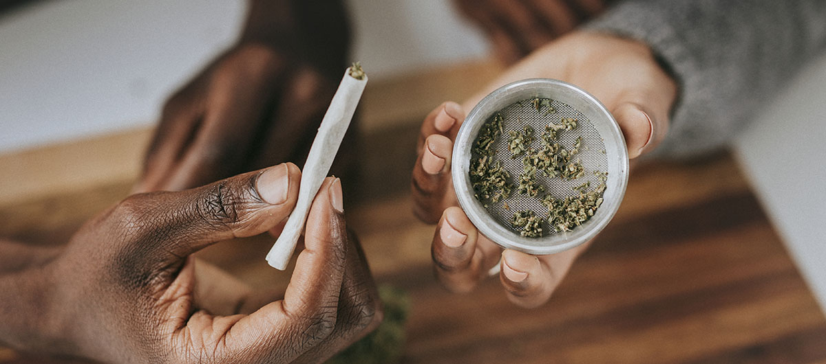 Wondering How to Get Higher on Less Weed? 1 Guy with weed and a grinder rolling a joint. how to get higher on less weed. buy weed in Ajax. Whitby dispensary.
