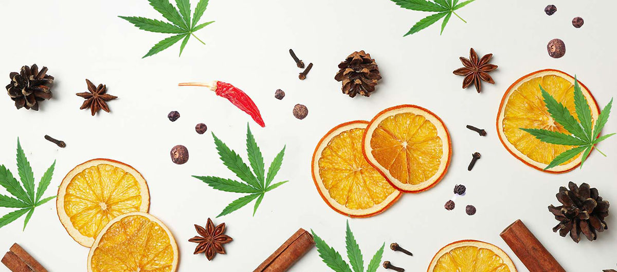 terpenes in weed