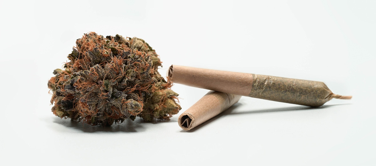 Sativa strains and pre-rolled joints from Ajax cannabis store and weed dispensary.