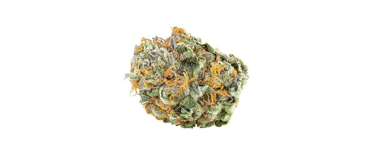 black cherry punch strain from Ajax pot shop & Whitby cannabis store The6ixCannabis. Buy legal weed in Toronto.