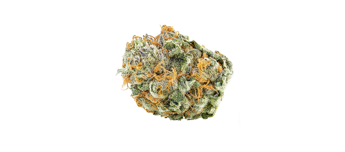 Black Cherry Punch Strain Review; Origin, Taste, Effects & Benefits