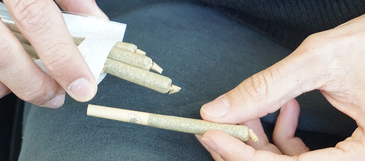 10 Facts You Need To Know About Pre-Rolled Joints 2 Man taking a pre-rolled joint from a preroll package. Buy weed near me. Pot shop Pickering cannabis store.