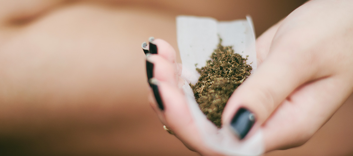 5 Fun Facts About Pre-Ground Weed 31 cannabis joint being rolled