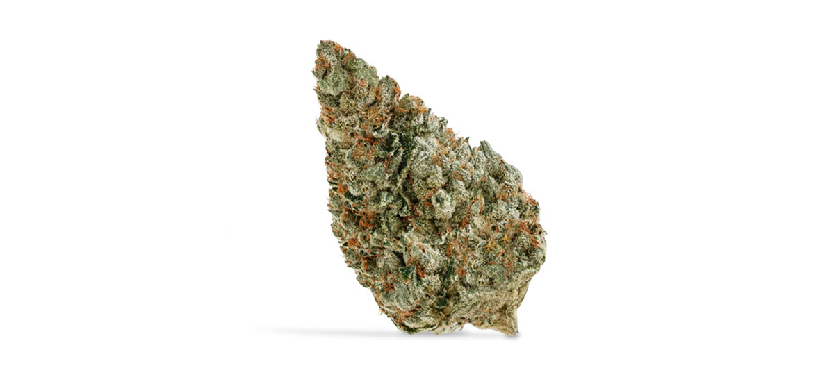 Jet Fuel Gelato strain value buds and cheap weed from Ajax dispensary for weed online.