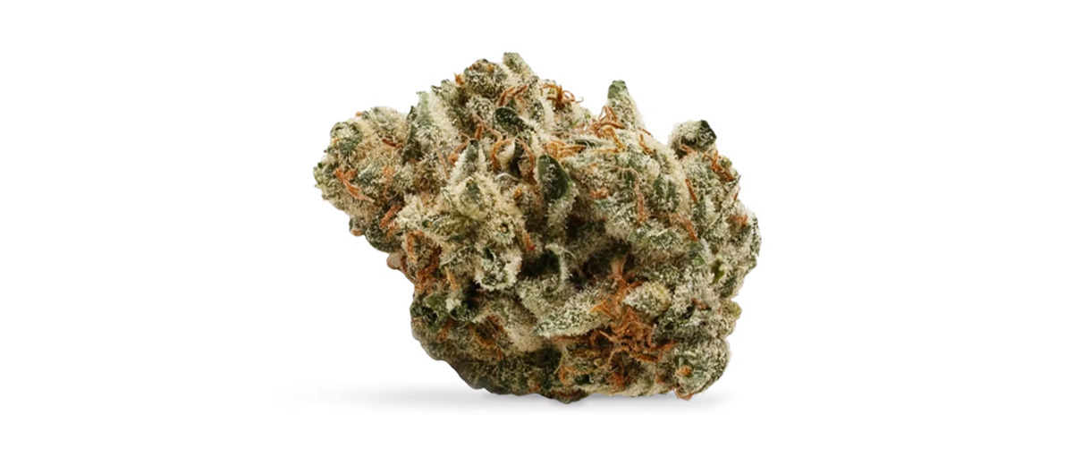 Death Bubba weed online Canada from Ajax dispensary for dispensary weed. Buy weed online.