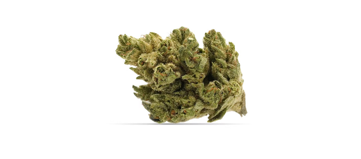 Pacific OG weed online Canada. Legal weed near me in Ajax, Pickering, and Whitby. Weed delivery near me. buy weed online.