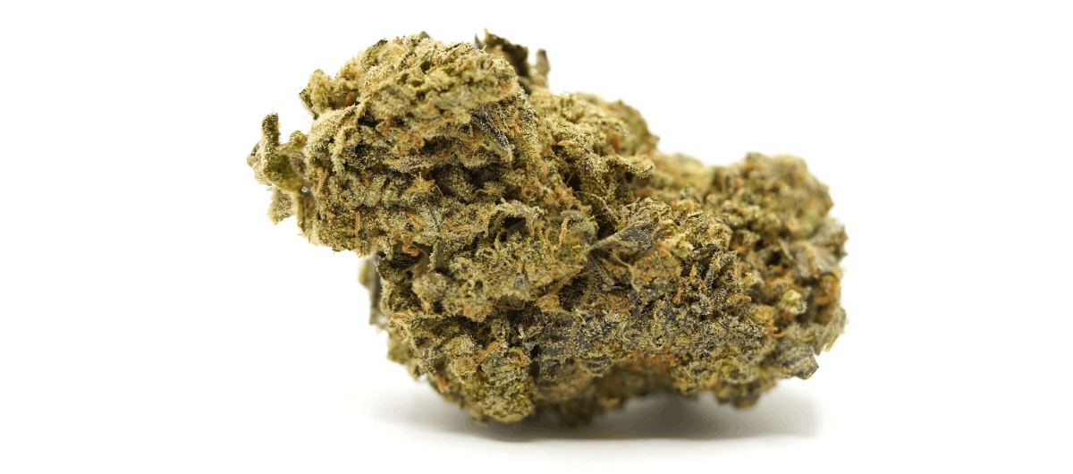 D. Bubba, also known as the Death Bubba or BC strain, is an indica-dominant hybrid strain that is a descendant of the popular Bubba Kush strain. 
