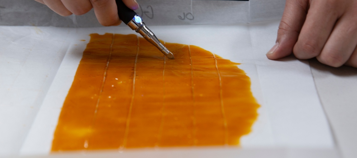 Shatter is a glass-like, transparent cannabis concentrate with a consistent hard texture and colour ranging from dark amber to yellow.