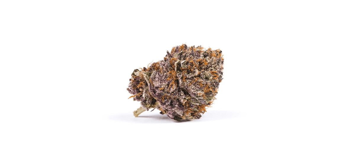 Pink Kush is a highly sought-after relative of the legendary OG Kush strain. It is an indica-dominant hybrid with a 90% indica to 10% sativa ratio. 
