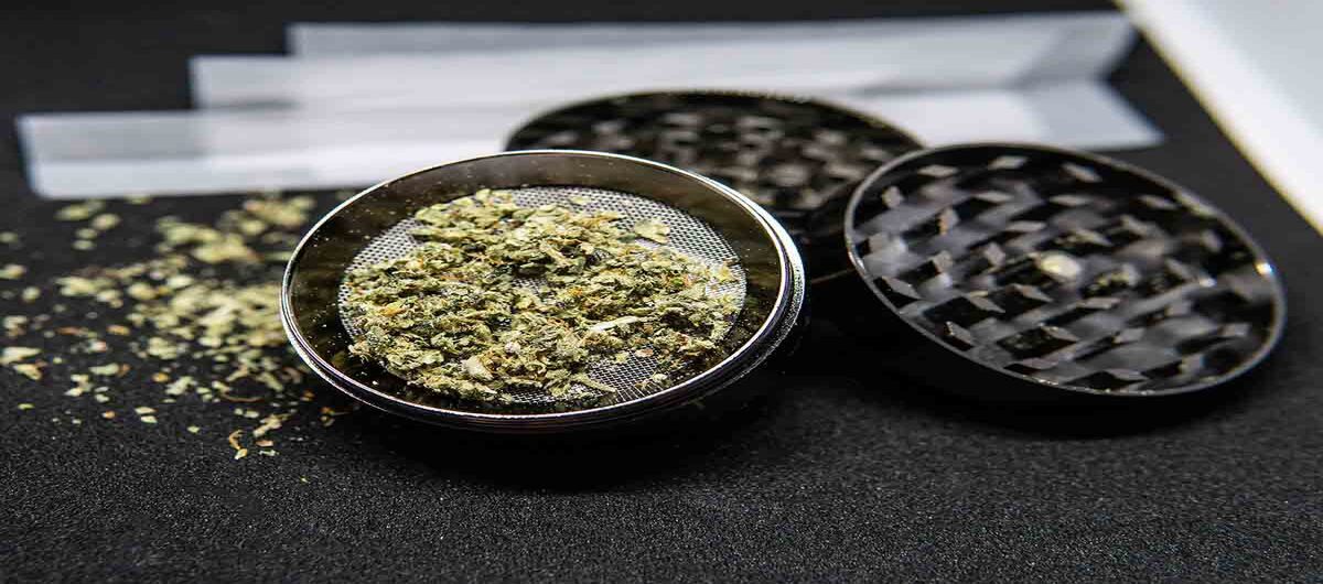weed flower and cannabis grinder