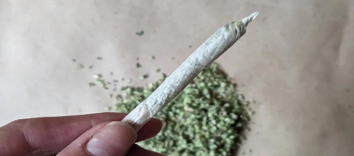high thc pre-roll to buy from the 6ix cannabis in ajax.