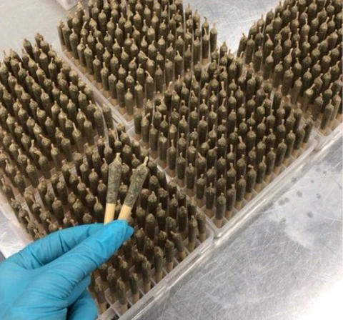 Testing BZAM Infused Pre Rolls Jet