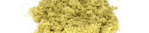 cannabis concentrates 101