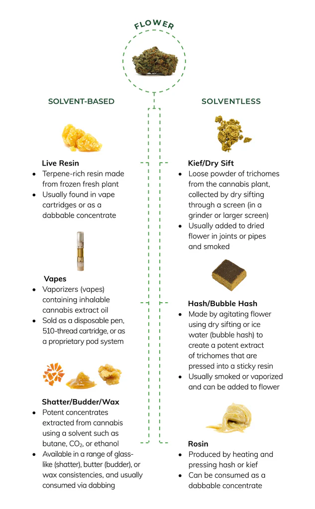 different types of concentrates explained v2 1024x1024 1